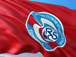 B体育新闻-帕尔梅拉斯新援首秀引期待，世俱杯表现备受关注